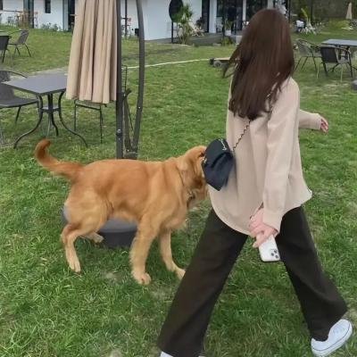 行尸之惧第六季
